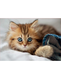 Puzzle Gatito 200 piezas 2