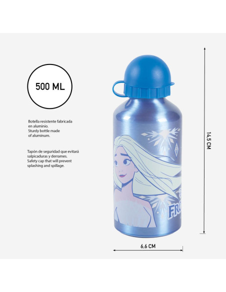 Botella Aluminio Infantil de Frozen 2