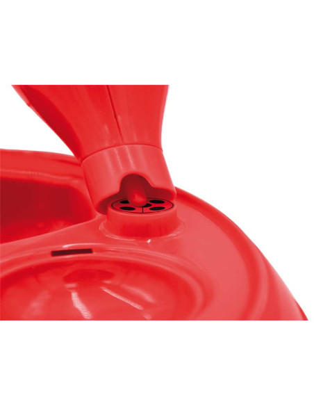 Ladybug Decora Tu Pelo