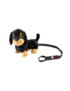 Perrito Paseos Planet Pets