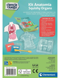 Kit Anatomía Squishy Organs 2