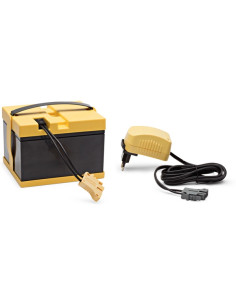 Coche Polaris 2 Plazas 24V 2