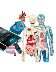 Juego Superanatomia 2