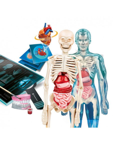 Juego Superanatomia