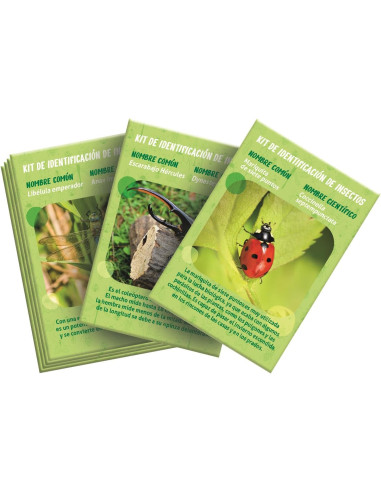 La Casa de los Insectos