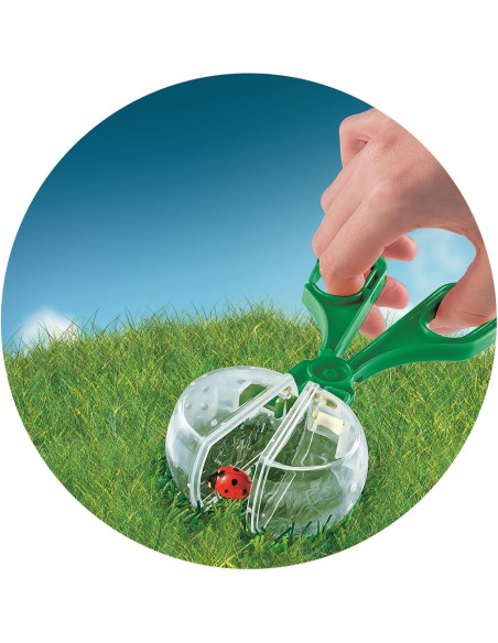 La Casa de los Insectos