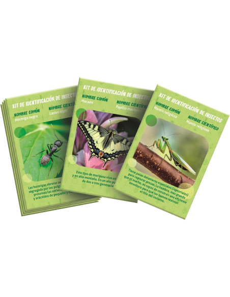 La Casa de los Insectos