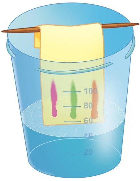 Kit Primera Química