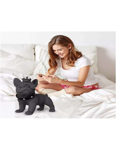 iDance Funky Bull Altavoz Bluetooth 20 W