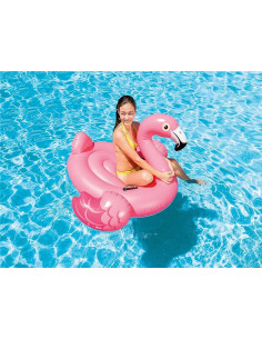 Flotador Flamingo Hinchable 2
