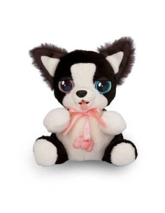 Mini Border Collie Baby Paws  2
