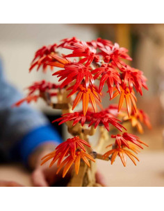 LEGO Botanical Bonsái de Arce Rojo Japonés 2
