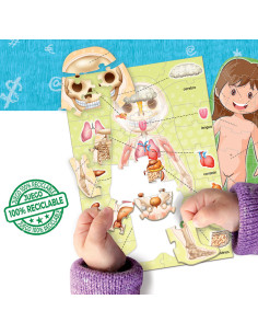 Juego El Cuerpo Humano | Aprender es Divertido  2