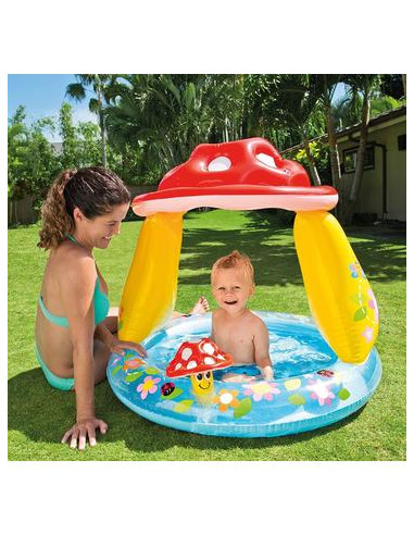 Piscina Hinchable Seta