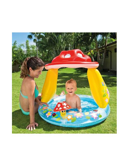 Piscina Hinchable Seta