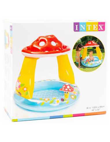 Piscina Hinchable Seta