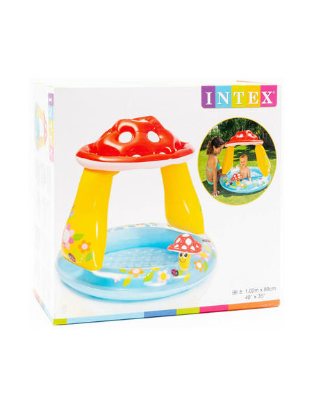 Piscina Hinchable Seta