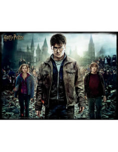 Puzzle Lenticular 3D Harry Potter, Hermione y Ron 500 Piezas 2