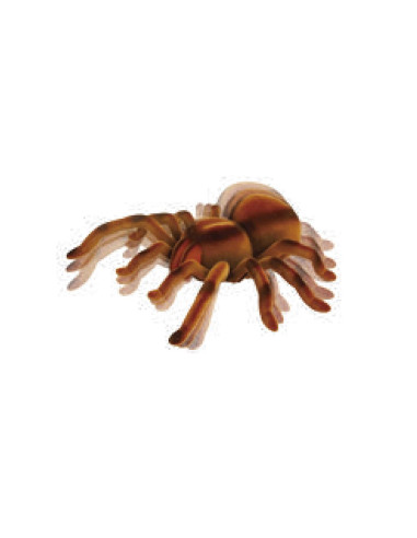 Tarántula Radio Control