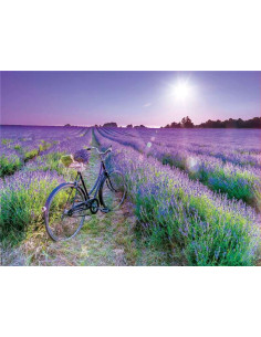 Puzzle 1000 piezas Bicicleta Campo Lavanda 2