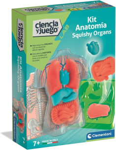 Kit Anatomía Squishy Organs