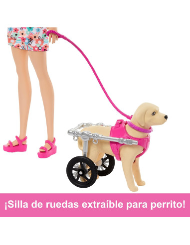 Barbie Muñeca Rubia paseadora de Perro con...