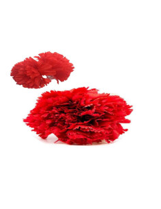 Clavel Rojo con Pinza de Pelo