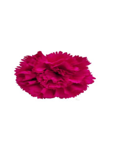 Clavel Buganvilla con Pinza de Pelo