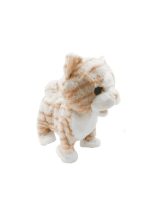 Mascotas Paseos Planet Pets