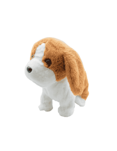 Mascotas Paseos Planet Pets 2