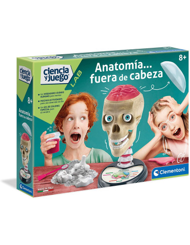 Anatomía Fuera de Cabeza