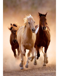 Clementoni Collection-Running Horses-1000 Piezas 2