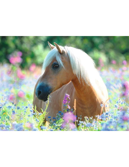Puzzle Caballo entre las flores, 300 Piezas XXL