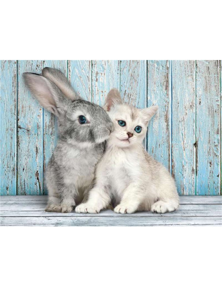 Puzzle Collection Cat & Bunny - Puzzle De 500 Piezas para Adultos
