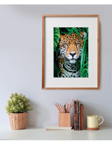 Puzzle Jungla Jaguar 500 Piezas