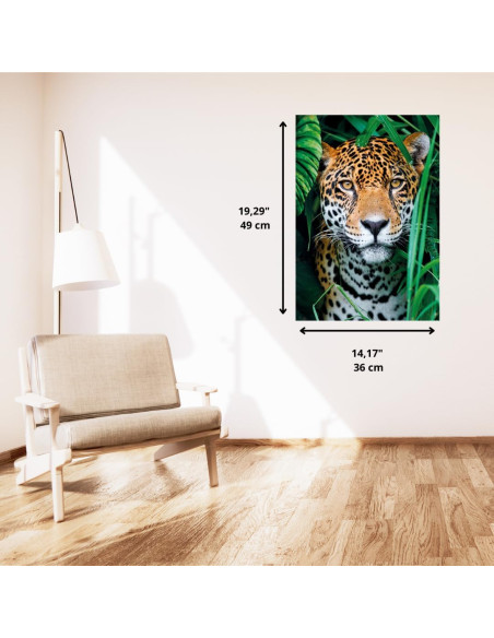 Puzzle Jungla Jaguar 500 Piezas