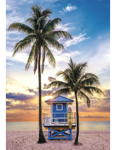 Puzzle Adulto 500 Piezas Collection Miami Beach Florida 2