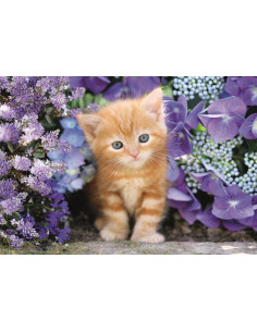 Puzzle Adulto 500 Piezas Collection Ginger Cat Compact... 2