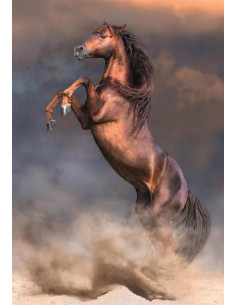 Puzzle Adulto 500 Piezas Collection Wild Red Stallion... 2