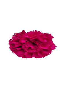 Clavel Buganvilla con Pinza de Pelo