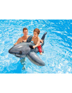 Tiburón hinchable 2