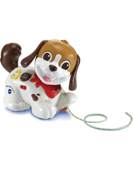 Baby Perrito Infantil Paseos y Aventuras, Juguete de Arrastre para niños +1 año