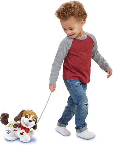 Baby Perrito Infantil Paseos y Aventuras,...