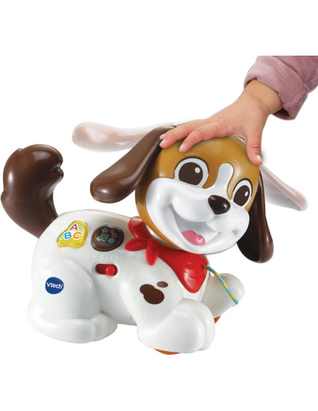 Baby Perrito Infantil Paseos y Aventuras, Juguete de Arrastre para niños +1 año