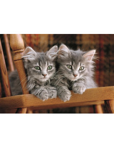 Puzzle Adulto 500 Piezas Colección Gatitos Caja Compacta 2
