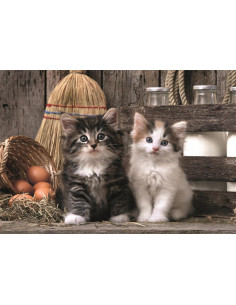 Puzzle Adulto 1000 Piezas Colección Lindos Gatitos Caja... 2