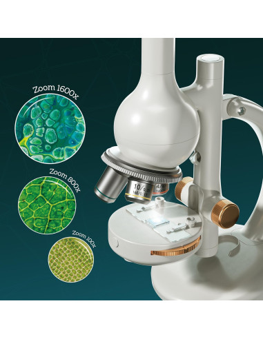 Microscopio de Laboratorio