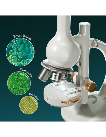 Microscopio de Laboratorio
