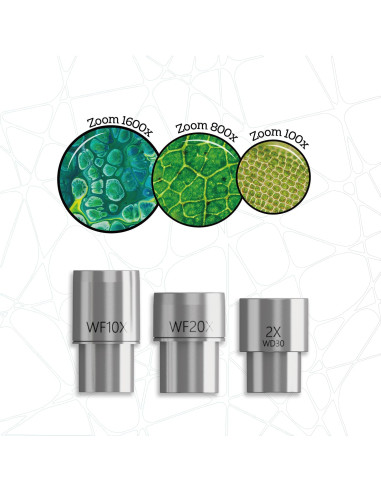Microscopio de Laboratorio