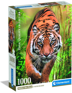 Puzzle 1000 Piezas El Camino de Cazador Tigre 